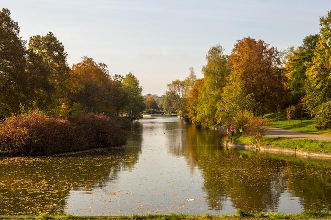 Park Śląski jesienią jest naprawdę piękny