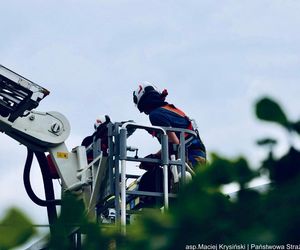 Strażacy interweniowali ponad 2000 razy w związku z pogodą. Najwięcej zgłoszeń z Małopolski