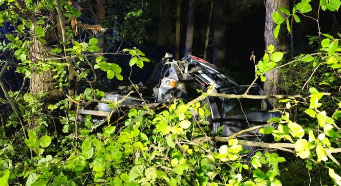 Kierowca seata nie żyje. Auto roztrzaskało się na drzewie. Tragiczny wypadek na DK 65