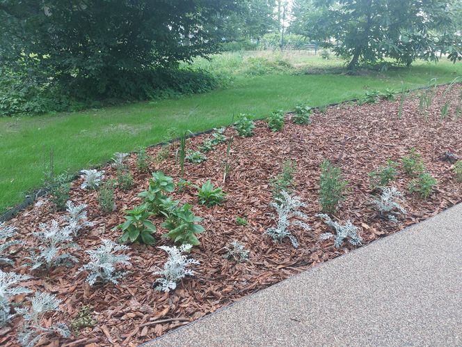 Park im. Szafera w Rzeszowie 