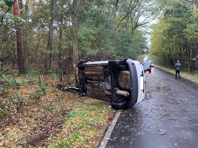 Wypadek na granicy dwóch powiatów. Kobieta uderzyła samochodem w drzewo