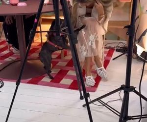 Małgorzata Rozenek-Majdan idzie do ślubu? Kreacji pozazdrości jej niejedna panna młoda!