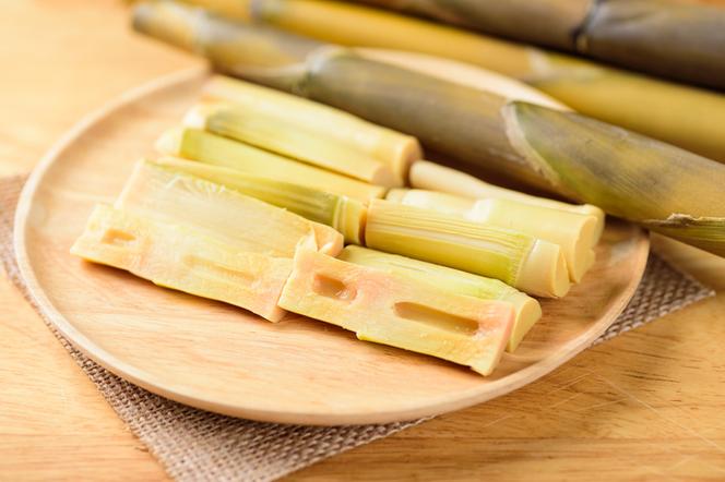 Pędy bambusa – zastosowanie w kuchni