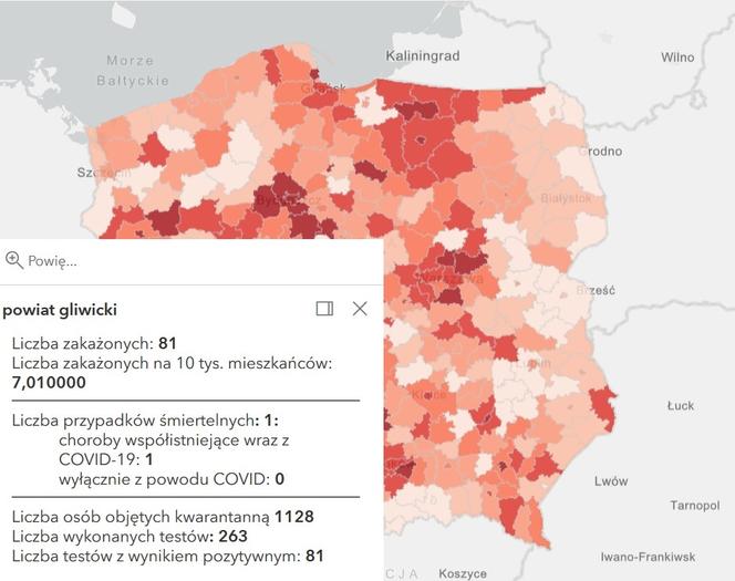 Koronawirus w województwie śląskim. Tak wygląda sytuacja w poszczególnych powiatach [RAPORT, 19 MARCA]