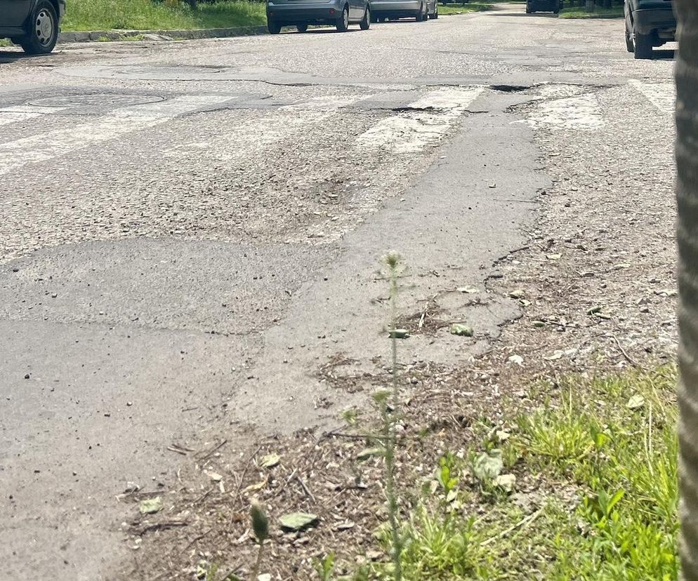 Te ulice w Lublinie będą wyremontowane. Gdzie spotkamy drogowców?