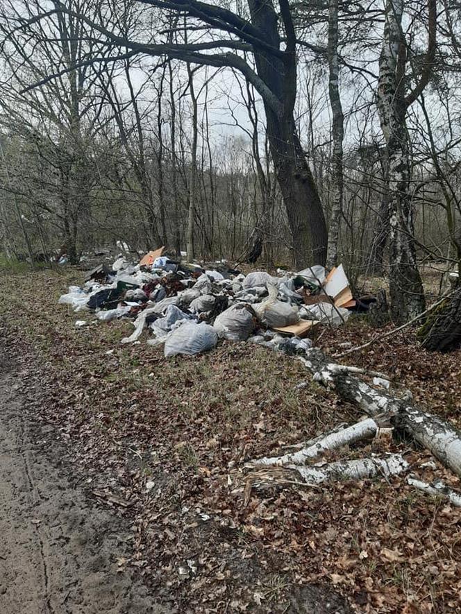 SZOK! Wyrzucili przy drodze worki z odpadami, a w środku... podpisane zeszyty