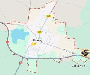 Pniewy