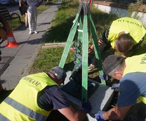 Smok Astronom przy ul. Kopernika naprzeciwko Ogrodu Botanicznego UJ