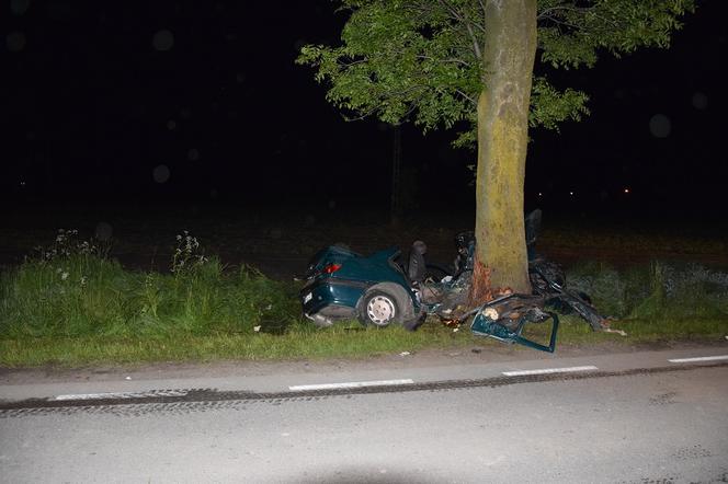 Wypadek pod Żychlinem