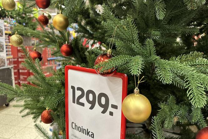 Ceny choinek w Krakowie szokują. Nawet 1299 zł za sztuczne drzewko! 
