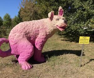 Wielki różowy pies 