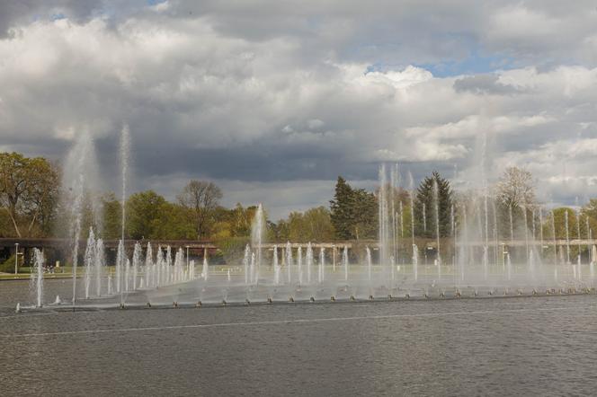 Wrocławska Fontanna Multimedialna znów działa