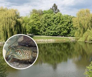 Trwa inwazja obcych na Mokotowie. Są ich tysiące, akcja służb