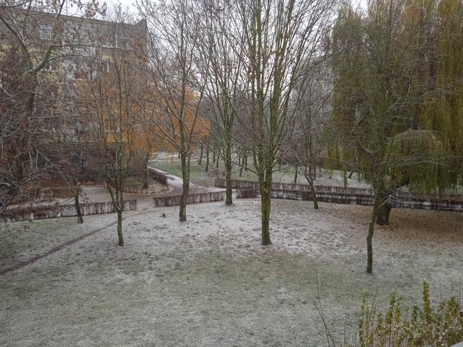 Atak zimy w Poznaniu! Spadł pierwszy śnieg. Czy to zaskoczyło drogowców?