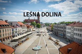 21. Leśna Dolina