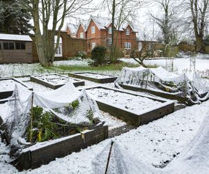 Zimowa ochrona warzyw