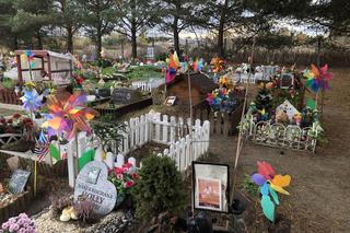 Cmentarze dla zwierząt w Koniku Nowym. Wszyscy, których znam mówią, że zwierzęta zasługują na dużo więcej miłości i dobroci, ponieważ są lepsi od ludzi widać to teraz