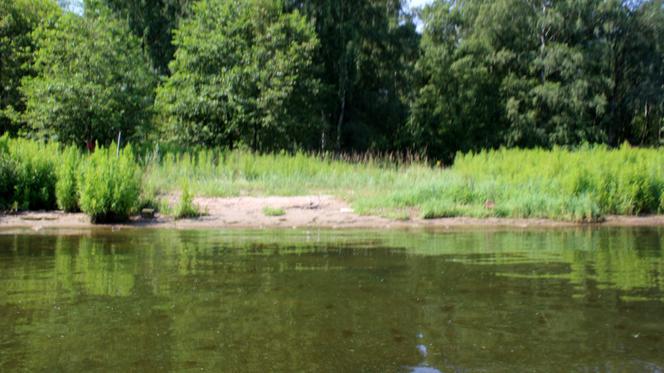 Dawna Plaża Mieleńska
