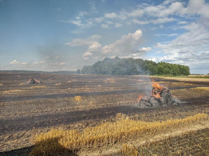 Pożar maszyny rolniczej, rżyska słomy i zboża - Lipowina gm. Braniewo