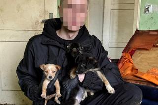 Czastary. Koszmar psów. Żyły wśród zwłok i odchodów innych zwierząt [ZDJĘCIA].