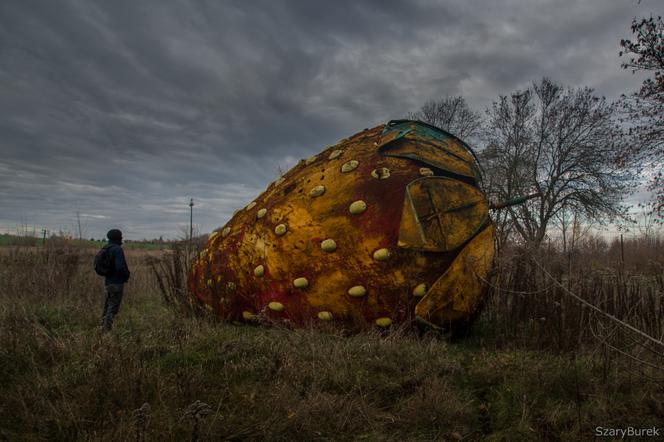 Gigantyczna opuszczona truskawka. Gdzie się znajduje?