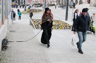 Przygarnęłam szopa