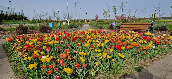 Park Miododajny w Liskowie