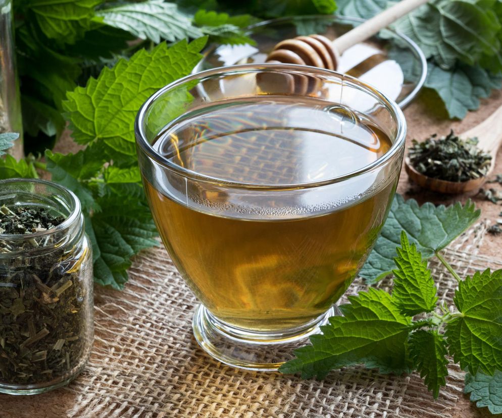 Na odporność, anemię i trawienie. Już nasze babcie znały siłę tego zioła