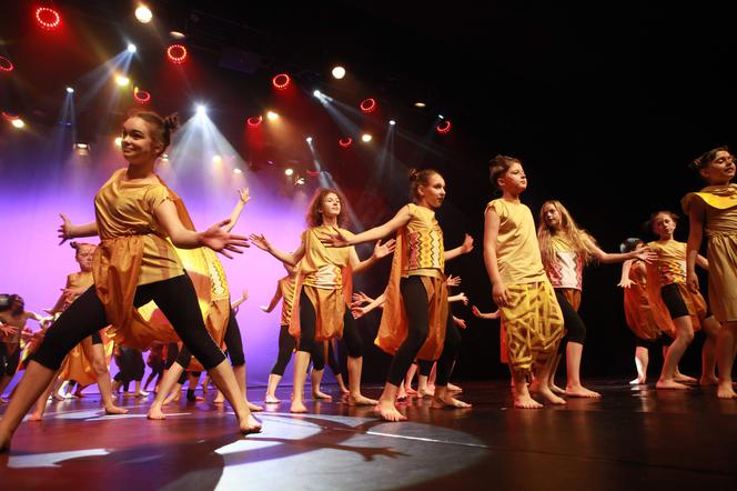 Kraków: Lew - Król Sawanny rzucił widzów na kolana