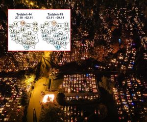Pogoda na Wszystkich Świętych zaskakuje! Te regiony mają powody do obaw. Plany do wymiany