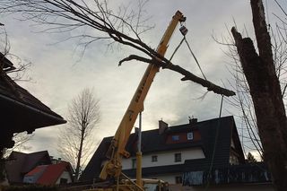 Halny w Tatrach złamał drzewo, konar spadł na dom. Nie kursuje kolejka na Kasprowy