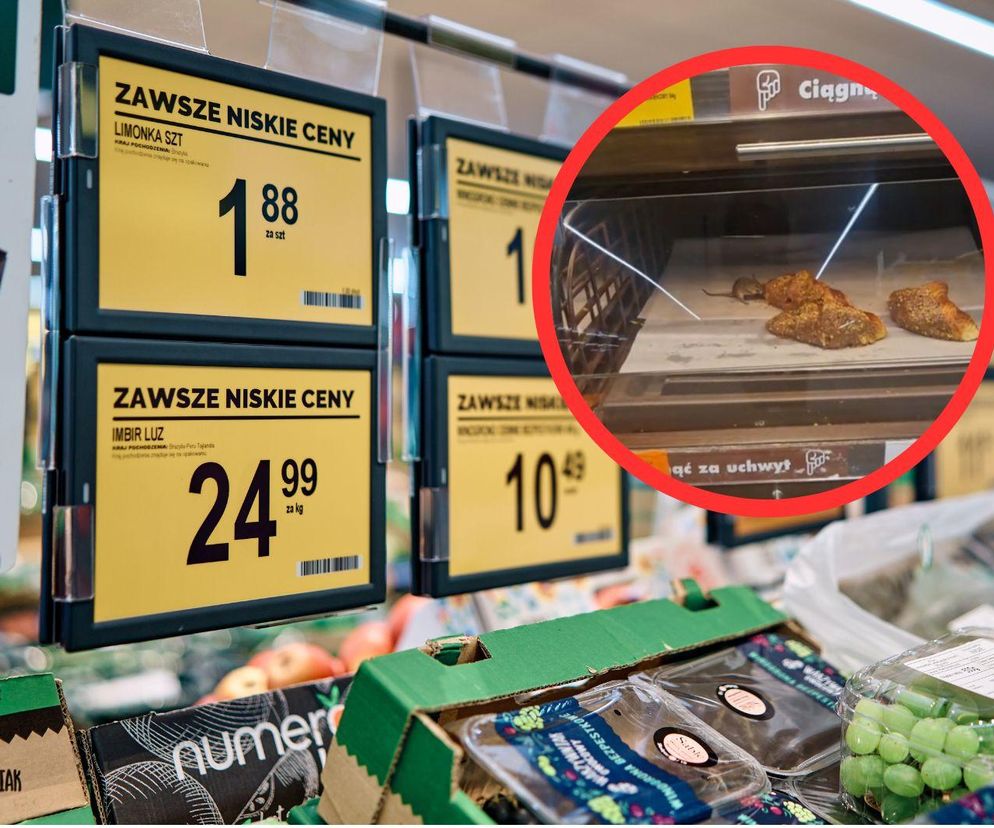 Myszy na sklepowych półkach w Biedronce? „Dziękuję, nic nie kupuję”