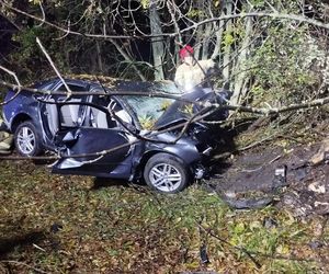 Śmiertelny wypadek koło Bełchatowa. Nie żyje 29-letni kierowca