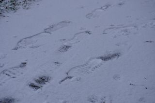 No i przyszła! Zima w Lublinie. Tak wygląda Park Rury
