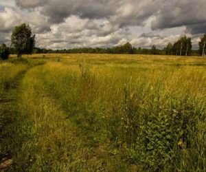 Pogorzelce na Podlasiu