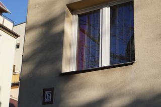 „W lecie nie mamy światła”. Problem z drzewem przy ul. Siewnej w Lublinie