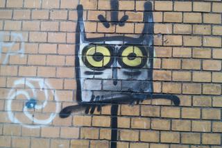 Wrocławska sowa kultowa [ZDJĘCIE]