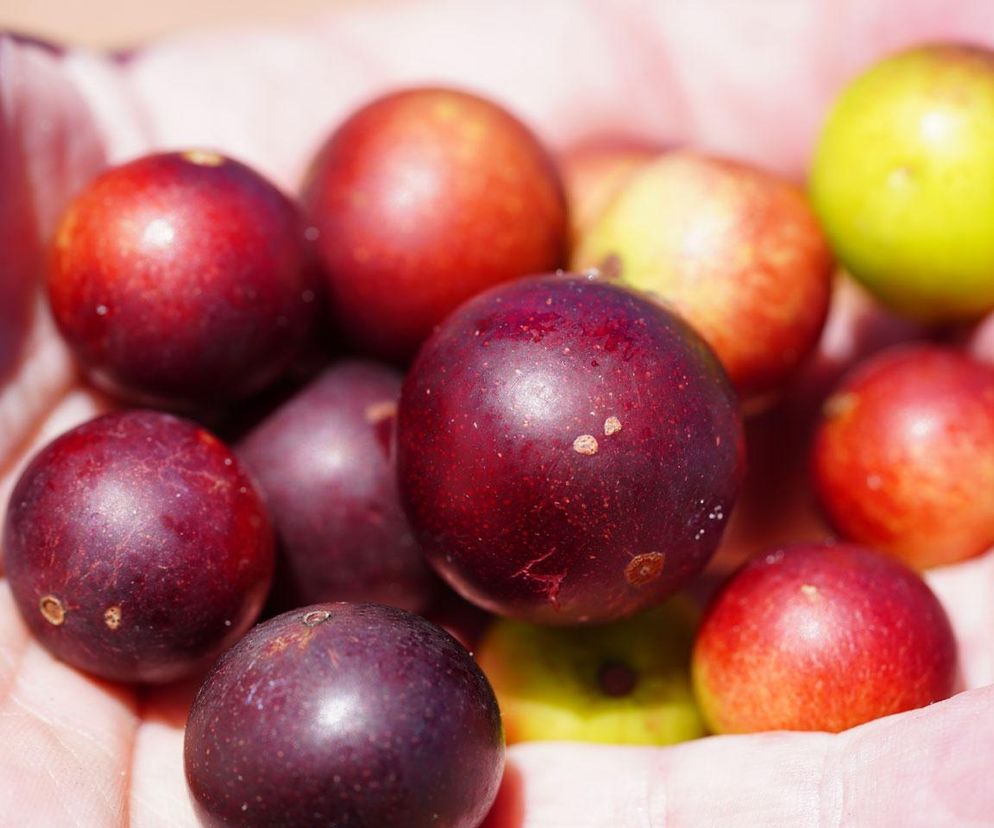 Mało znane owoce z rekordową zawartością witaminy C. Poznaj je już dziś, by wspierać odporność