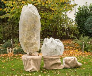 Okrywanie roślin na zimę