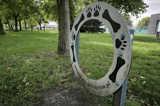 Wybieg dla psów przy Ćwiczni w Lesznie