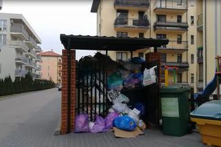 Śmierdzący problem w Ząbkach. Firma nie chce odbierać śmieci [WIDEO, AUDIO]