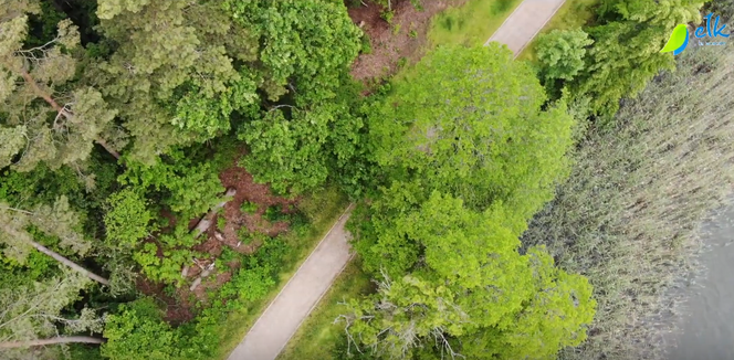 Nowa atrakcja w Ełku. Kolejny odcinek promenady nad Jeziorem Ełckim gotowy [WIDEO, FOTO]