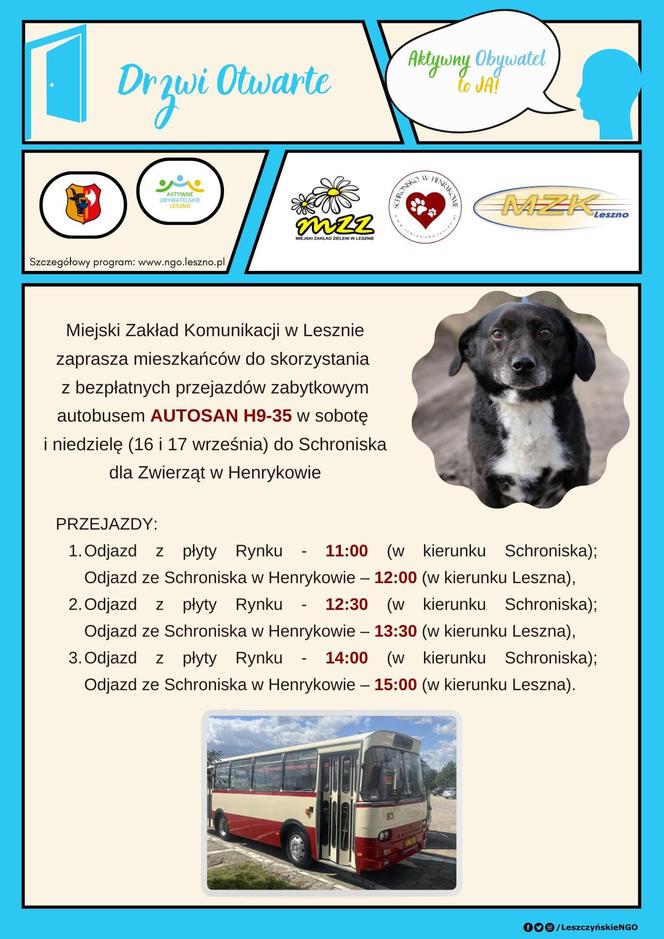 Zabytkowy autosan MZK w Lesznie będzie woził do Schroniska dla Bezdomnych Zwierząt w Henrykowie