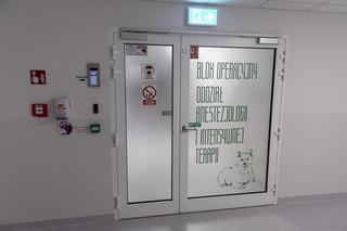 Maja spadła ze ścianki wspinaczkowej