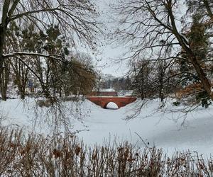 Zamojski Park pod śniegiem