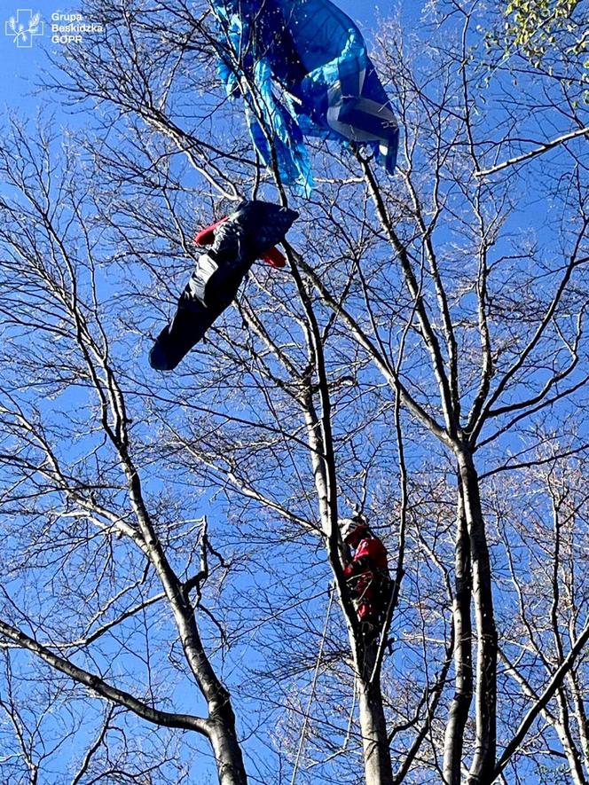 Paralotniarka wylądowała na drzewie. Kobieta wisiała 25 metrów nad ziemią