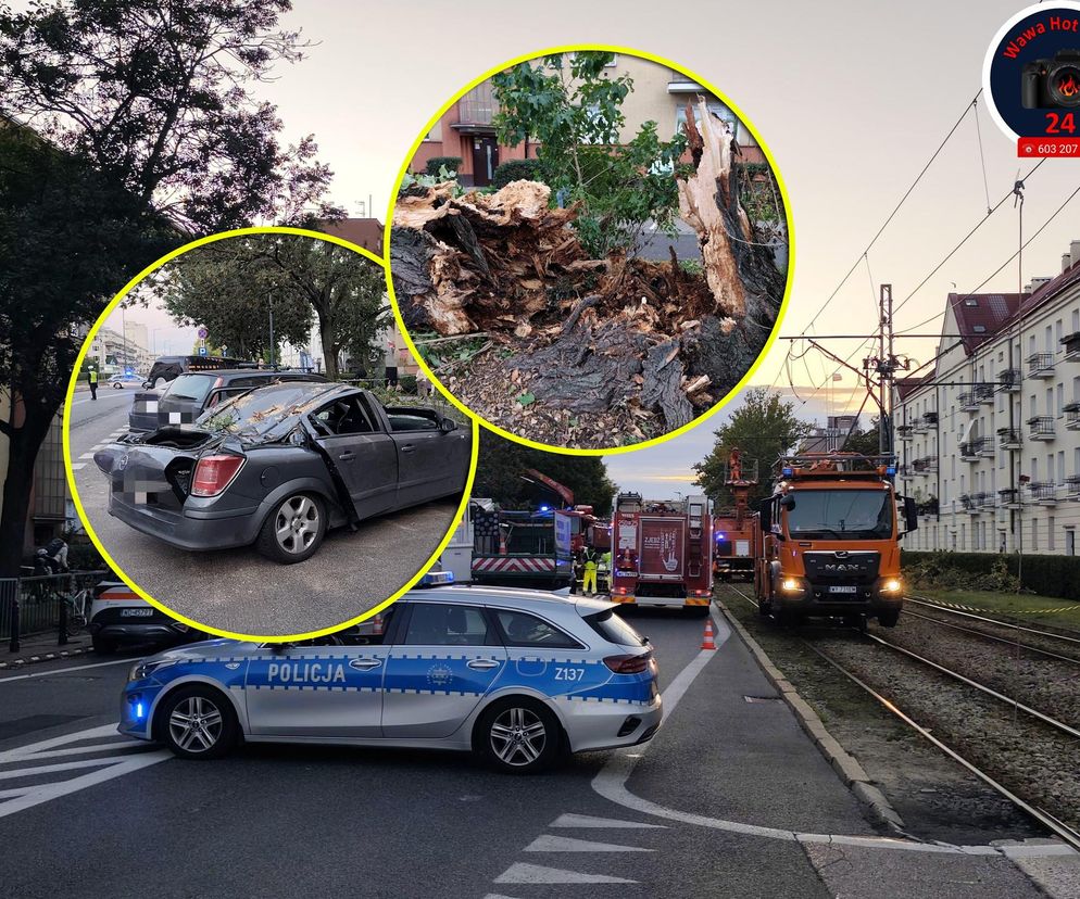 Drzewo spadło na sieć trakcyjną