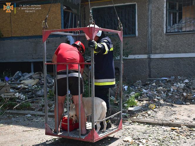  Pies uwięziony w budynku zniszczonym przez Rosjan. Finał akcji wyciskał łzy z oczu