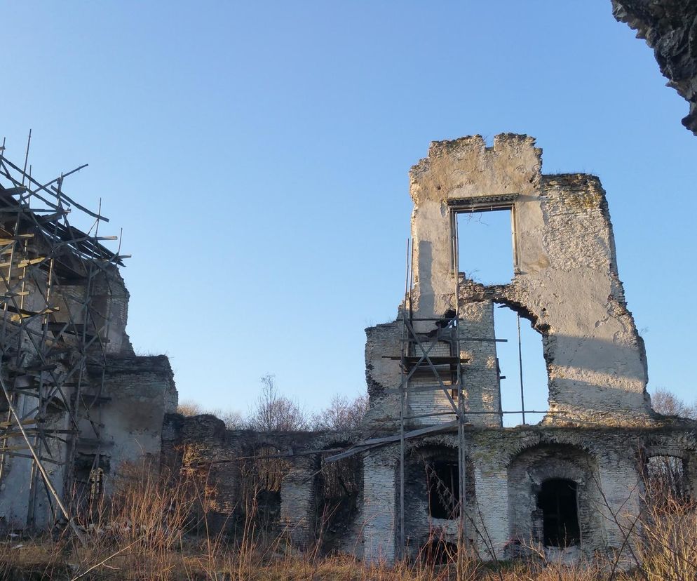 Ruiny zamku w Mokrsku Górnym