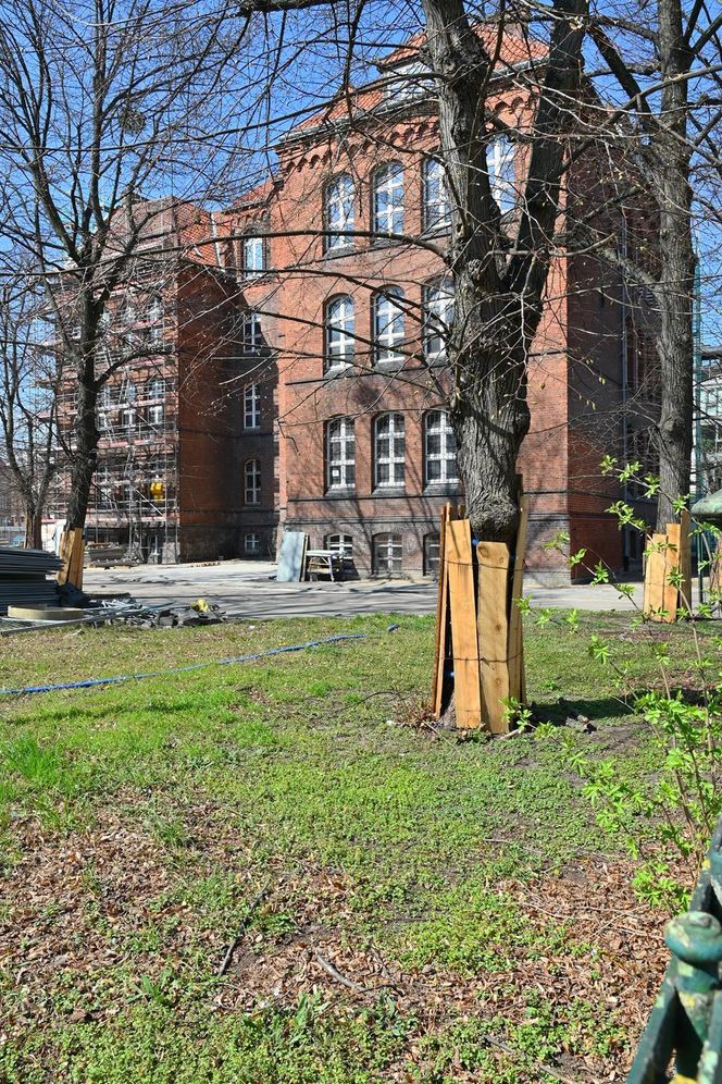 Rewitalizacja Dolnego Miasta i Starego Przedmieścia
